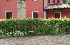 Antica Ceramica Muro di Siena