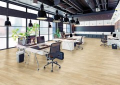 Granito Forte Montreal