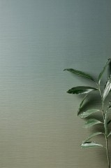 marcacorona_iridea_4