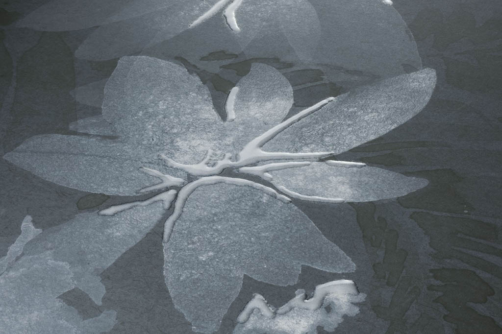 Boxer Artwork Blue Vision Falburkolat | Járólapok és Csempék