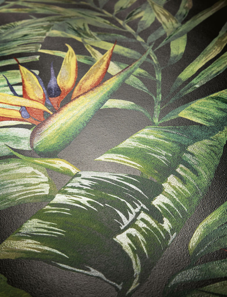 Elios Love & Decors Falburkolat