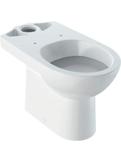 Geberit Selnova álló monoblokk WC csésze 36x68,5 cm mélyöblítésű, hátsó kifolyású 500.287.01.7