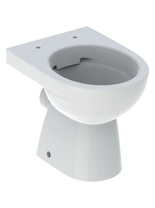 Geberit Selnova mélyöblítésű álló WC csésze 35,5x49 cm hátsó kifolyású, Rimfree 500.480.01.7