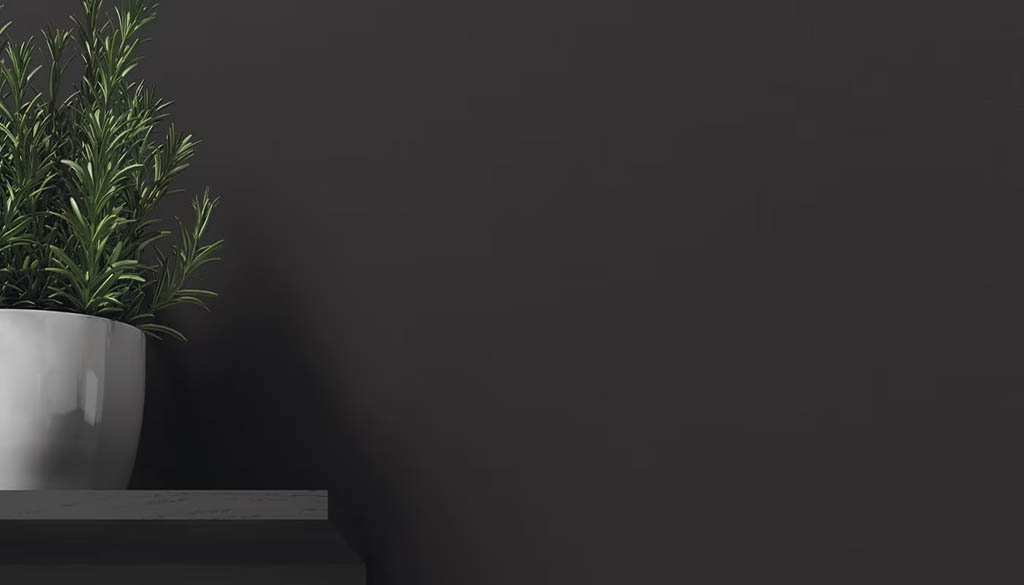 Level Tinta Unita Falburkolat | Csempék és Burkolatok