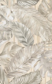 Kwadro Nea lisc B falicsempe