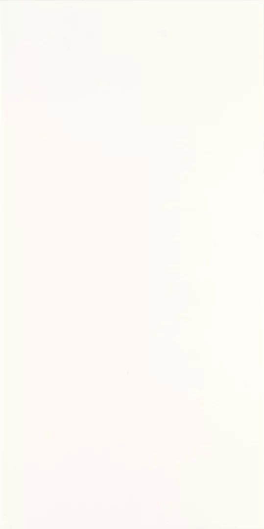 Paradyz Fiori Bianco falicsempe 30x60 cm