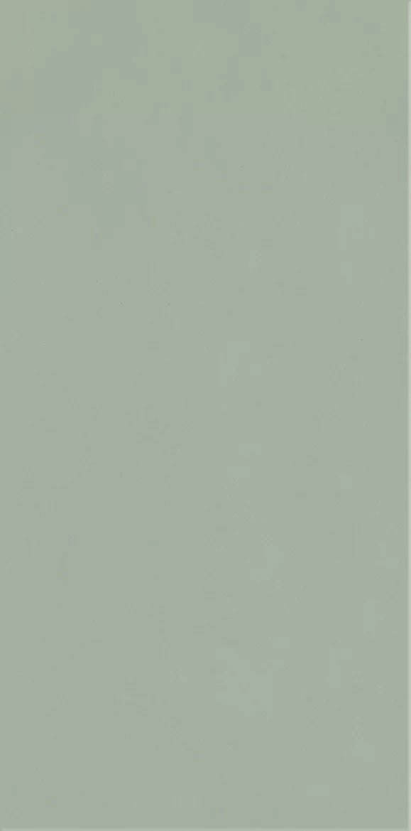 Paradyz Neve Creative Green Pol falicsempe 9,8x19,8 cm