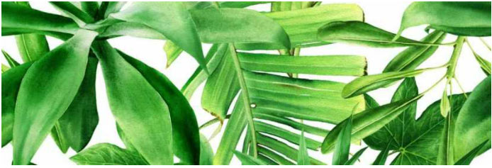 Valore Premium Garden Tropic B 25 x 75 dekorcsempe