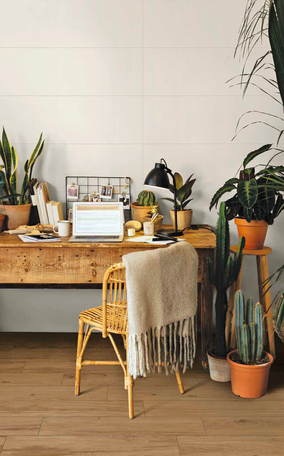 Ragno Woodclass Fahatású járólap | Járólapok és Csempék