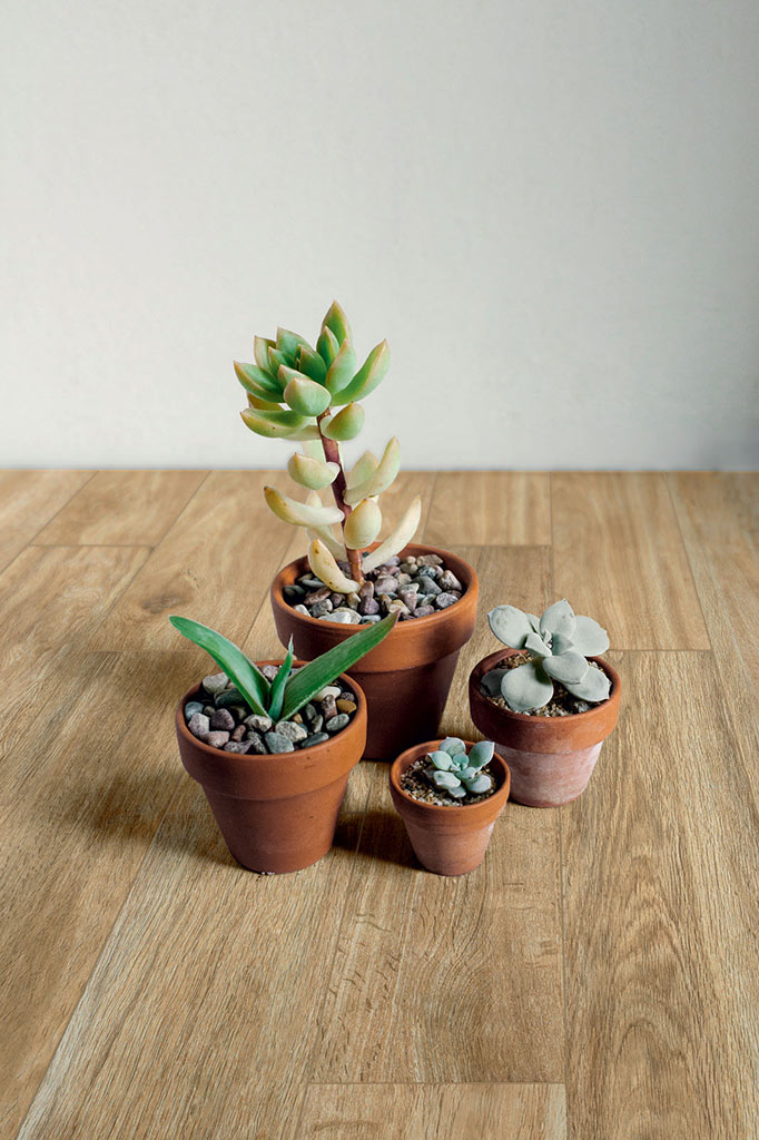 Ragno Woodglam Fahatású járólap | Csempék és Falburkolatok