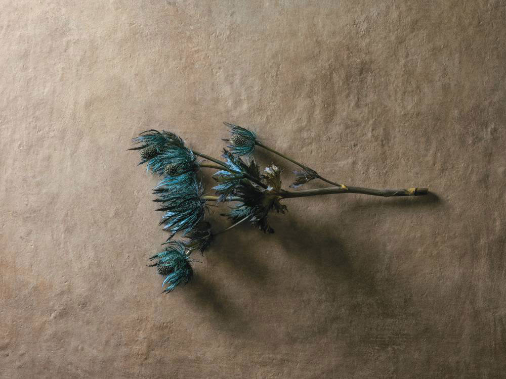 Refin Ceramiche Affrescati Kőhatású járólap 