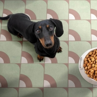 ABK Kaleidos Klasszikus járólap | Csempék és Járólapok