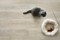 Afirmax Legnar Acoustic wood floor 5,3 - 0,55 CLEA 41802 Alba Oak