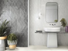 Ape Harlequin Falburkolat 