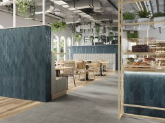 Ape Harlequin Falburkolat 