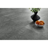 Arbiton Amaron Forma 5.0/0.55 Ninaventura graphite