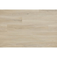 Arbiton Woodric EIR Acoustic 5.3/0.55 Brandon oak