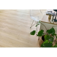 Arbiton Woodric EIR Acoustic 5.3/0.55 Brandon oak