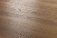 Arbiton Woodric EIR Acoustic 5.3/0.55 Dallas oak