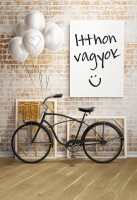 Befag Moment Tölgy Rustic 1 sávos szalagparketta