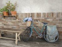 Cotto Petrus Brickone Falburkolat | Burkolatok és Járólapok