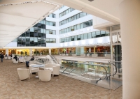 Cotto Petrus Fossili Out Kőhatású járólap | Csempék és Mozaikok