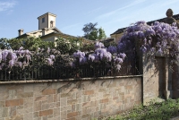 Cotto Petrus Muro Di Siena Falburkolatok | Csempék és Járólapok