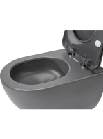 Deante Peonia perem nélküli fali WC csésze titánium CDE DZPW