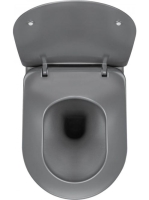 Deante Peonia perem nélküli fali WC csésze titánium CDE DZPW