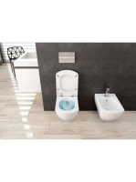 Deante Anemon perem nélküli fali WC csésze CDZ 6ZPW