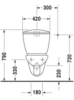 Duravit Duraplus fali monoblokk WC csésze 0195090000