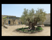 Ceramica Euro Out Door Kőhatású járólap | Csempék és Járólapok