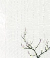 Fanal Montblanc Falburkolat 