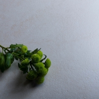 FMG Limestone Maxfine Kőhatású járólap 