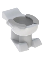 Geberit Bambini mélyöblítésű gyermek álló WC ülőkepaddal, oroszlánlábas, achátszürke 212015000