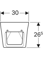 Geberit Pareo fedeles kivitelű vizelde, hátsó bekötésű, hátsó kifolyású 236100000