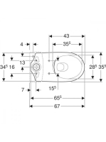 Geberit Selnova mélyöblítésű kerámia álló monoblokk WC csésze hátsó kifolyású, Rimfree 500.486.01.7