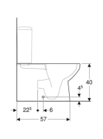 Geberit Selnova álló monoblokk WC 35x68 cm mélyöblítésű, vario kifolyású, Rimfree 500.489.01.7