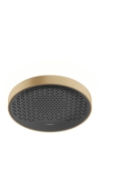 Hansgrohe Rainfinity 250 1jet, EcoSmart szálcsiszolt bronz fejzuhany 26229140