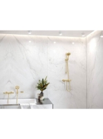 Hansgrohe Raindance Select S 120 3jet kézizuhany Ecosmart polírozott arany hatású 26531990