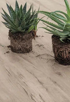 Laminam Legno Venezia Kőhatású járólap | Csempék és Járólapok