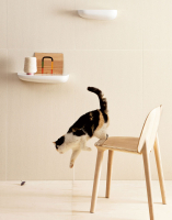 Mutina Pico Falburkolatok | Csempék és Mozaikok