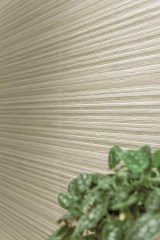 Polis Montagne Falburkolatok 