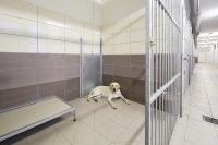 Rako Taurus Granit Klasszikus járólap | Csempék és Mozaikok