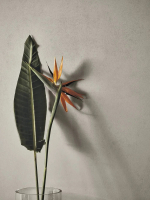 Refin Ceramiche Feel Falburkolatok | Csempék és Falburkolatok