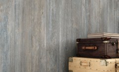 Unicom Starker Cabane Falburkolat 