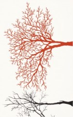 Kwadro Veo Bianco C dekorcsempe