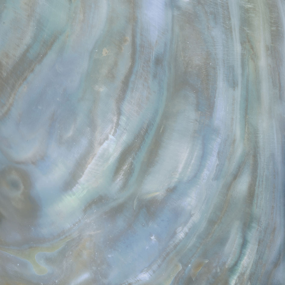 Roberto Cavalli Bright Pearl Rainbow padlólap 80x80 cm