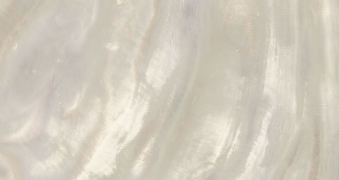 Roberto Cavalli Bright Pearl Ivory padlólap 80x180 cm