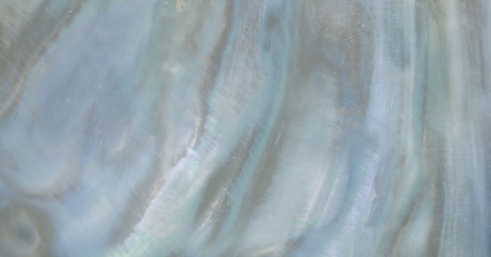 Roberto Cavalli Bright Pearl Rainbow padlólap 80x180 cm